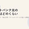 ソフトバンク光の速度はどのくらい？公式スペック・他社比較・ホームルーターとの違いを解説【2026年版】